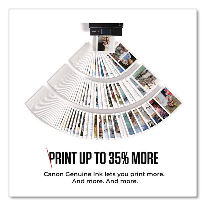 8278B001 (PG-245XL) ChromaLife100+ High-Yield Ink, 300 Page-Yield, Black
