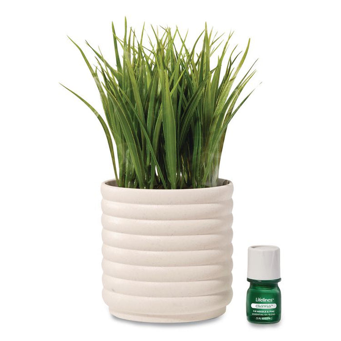 Evaporative Aromatherapy Essential Oil Grass Plant Diffuser with Fir Needle and Pine Essential Oil, 6.2 x 9.5, White/Green