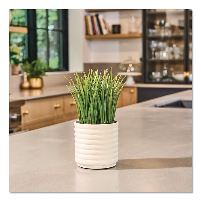 Evaporative Aromatherapy Essential Oil Grass Plant Diffuser with Fir Needle and Pine Essential Oil, 6.2 x 9.5, White/Green