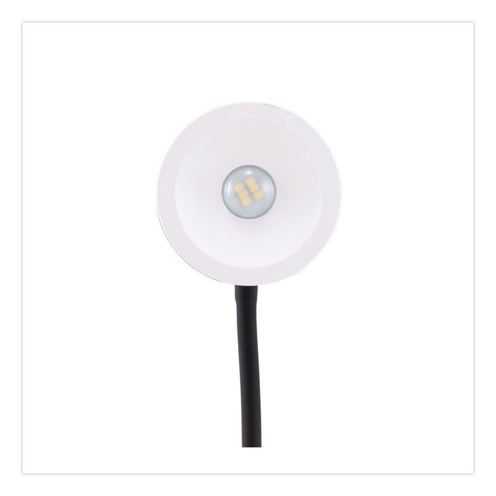 LED Gooseneck Desk Lamp, 13" High, Black