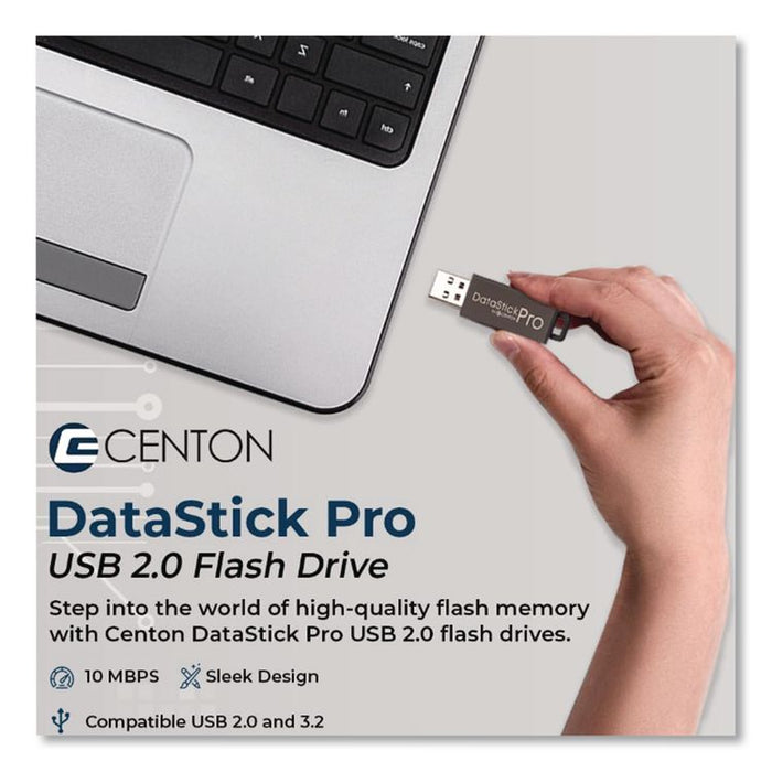 DataStick Pro USB 3.2 Type A Flash Drive, 512 GB, Black, 2/Pack