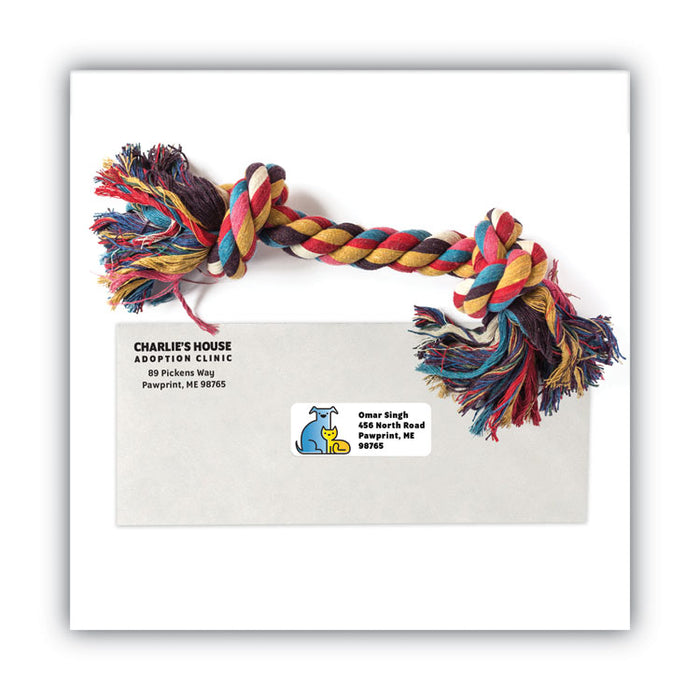 White Laser/Inkjet Shipping Address Labels, Inkjet/Laser Printers, 1 x 2.63, White, 30 Labels/Sheet, 100 Sheets/Box