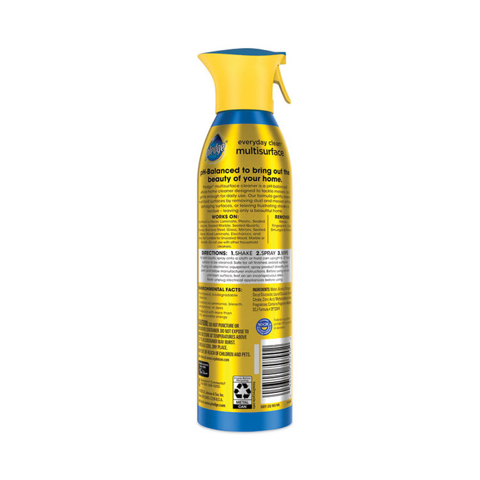 Multi-Surface Everyday, Rainshower Scent, 9.7 oz Aerosol Spray