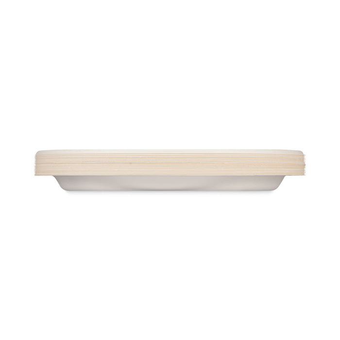 ECOSAVE Tableware, Plate, Sugarcane, 10.13" dia, White, 16/Pack, 12 Packs/Carton