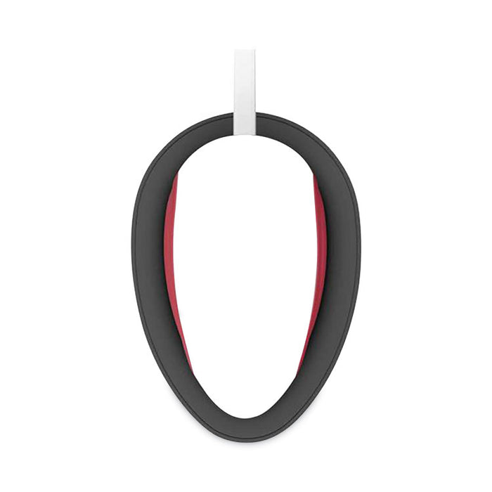 EasyPress Mini, Raspberry