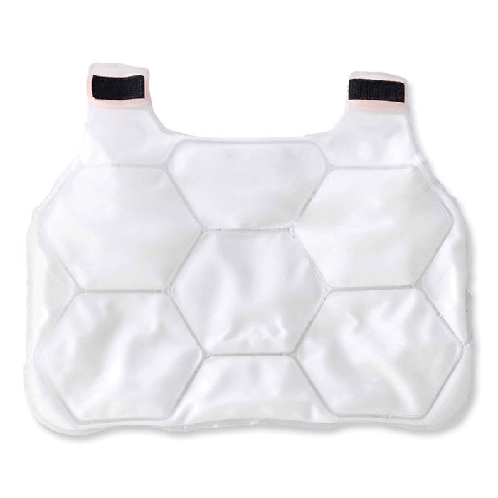 Chill-Its 6220 Phase Change Cooling Vest Charge Packs, Small/Medium, 16.25 x 12, 2/Pack