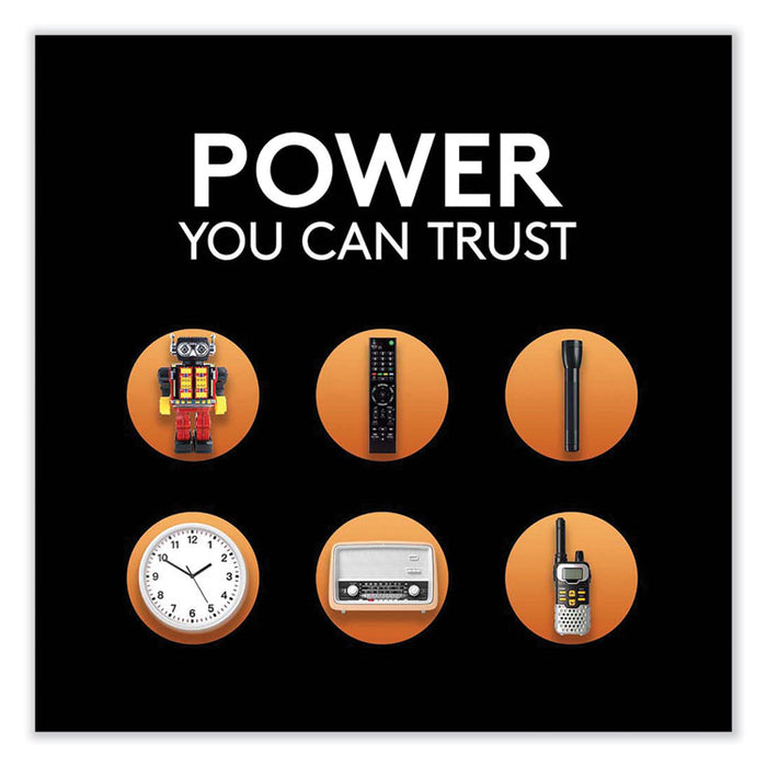 CopperTop Alkaline 9V Batteries, 2/Pack