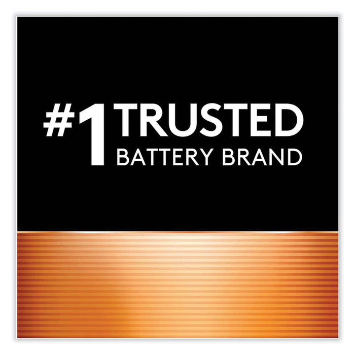 CopperTop Alkaline D Batteries, 4/Pack