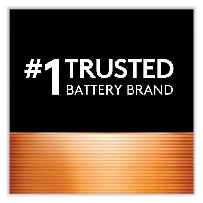 CopperTop Alkaline C Batteries, 12/Box