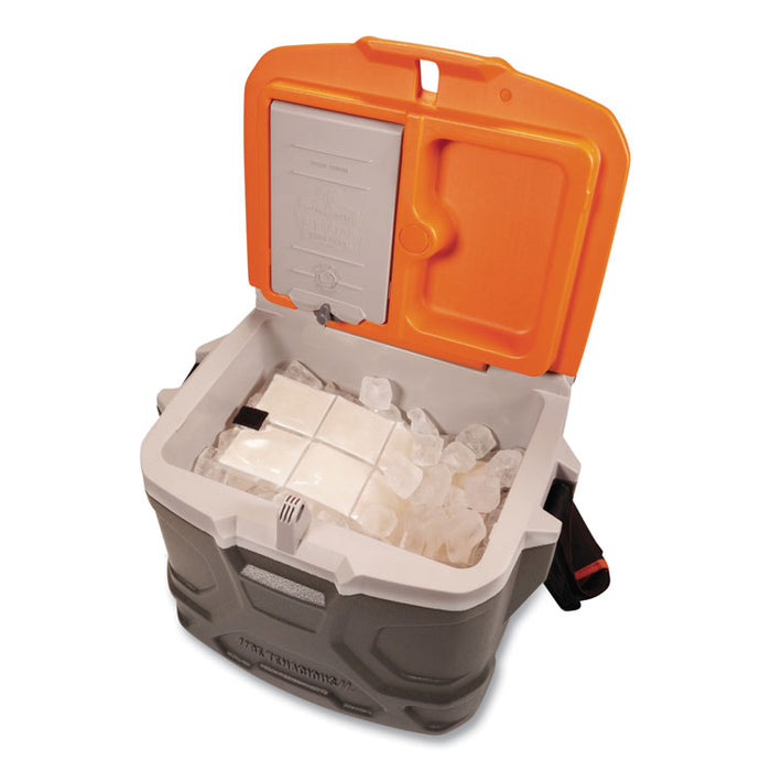 Chill-Its 6250 Lightweight Phase Change Cooling Packs, 6 x 13, 4/Pack