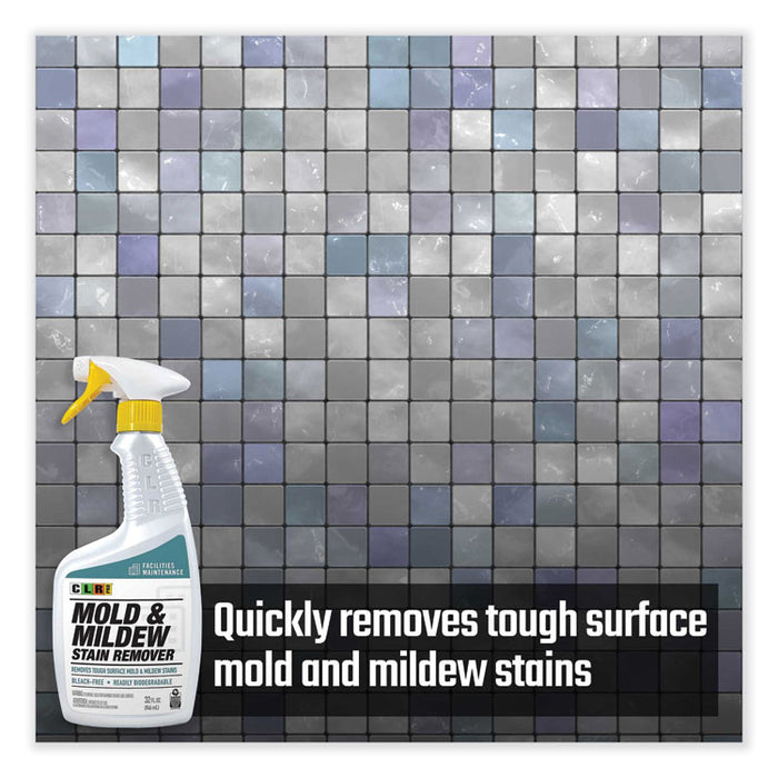 Mold and Mildew Stain Remover, 32 oz Spray Bottle, 6/Carton