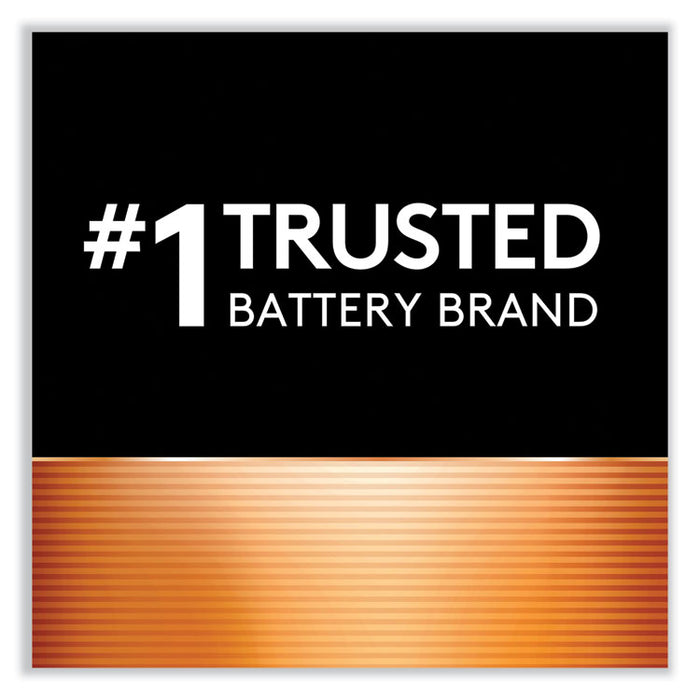 Power Boost CopperTop Alkaline AA Batteries, 2/Pack
