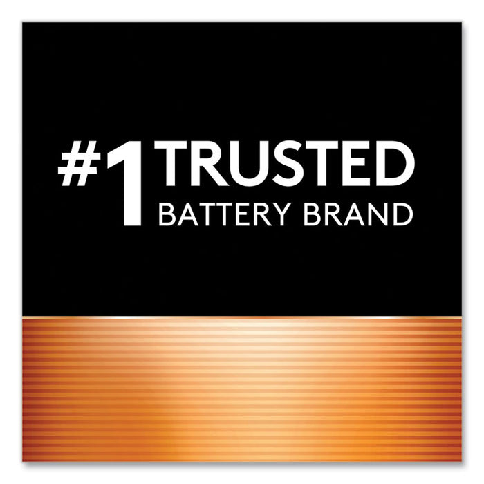Power Boost CopperTop Alkaline AA Batteries, 10/Pack