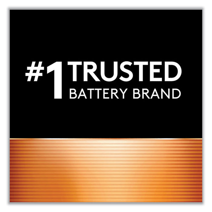 Power Boost CopperTop Alkaline AA Batteries, 224/Carton
