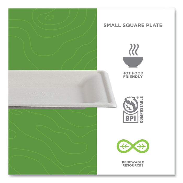 Vanguard Renewable and Compostable Sugarcane Plates, 6 x 6, White, 500/Carton