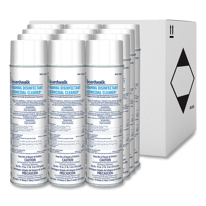Foaming Disinfectant Germicidal Cleaner, Flowery Scent, 19 oz Aerosol Spray, 12/Carton