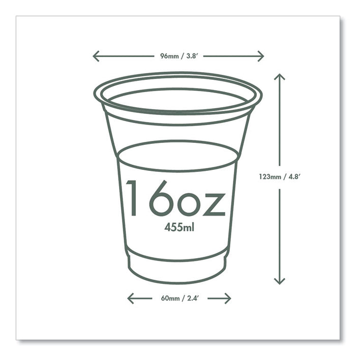 96-Series Cold Cup, 16 oz, Plastic, Clear/Green, 1,000/Carton