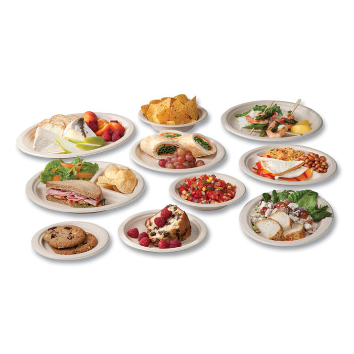 Nourish Molded Fiber Tableware, Compostable, Plate, Sugarcane, 9" dia, White, 500/Carton