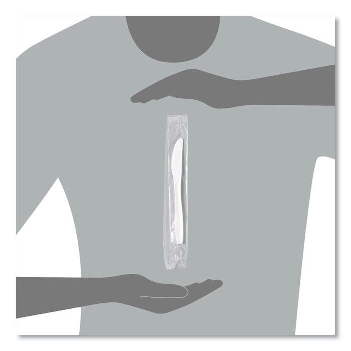 Regal Mediumweight Cutlery, Individually Wrapped, Knife, Plastic, White, 1,000/Carton