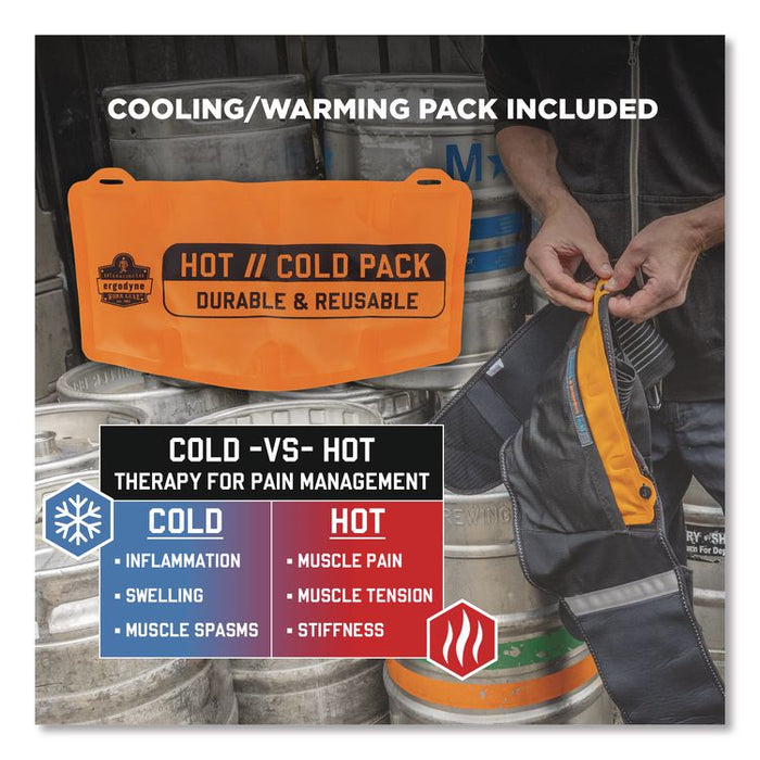 Proflex 1675 Back Support Brace with Cooling/Warming Pack, 4X-Large, 52" to 58" Waist, Black